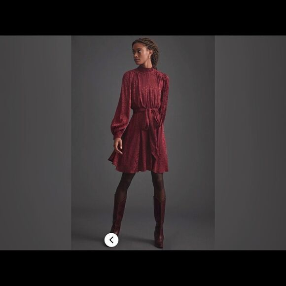 Anthropologie - Jacquard Mini Dress - wine - Picture 5 of 8